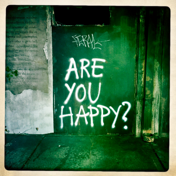 Are You Happy? / Karen B. Golightly