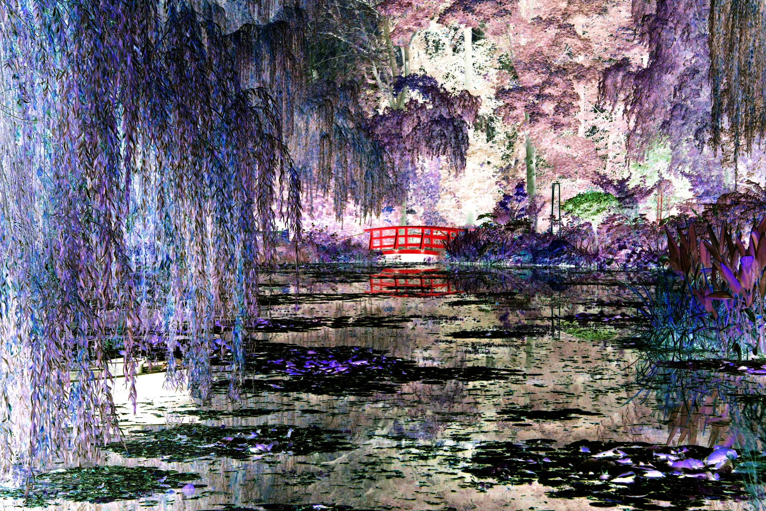 bridge2.jpg