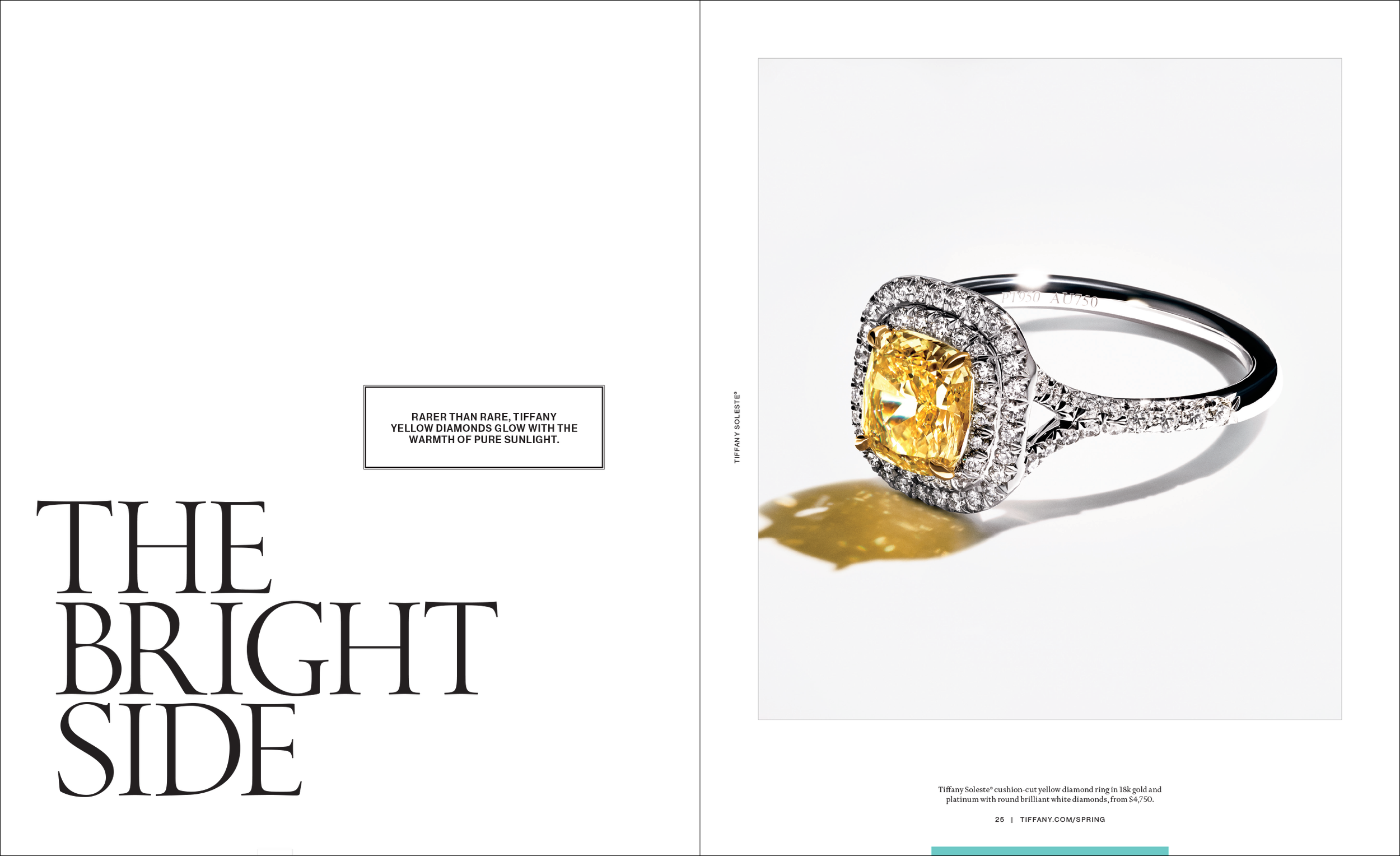 Spring Icons 2015 US 24-25.png