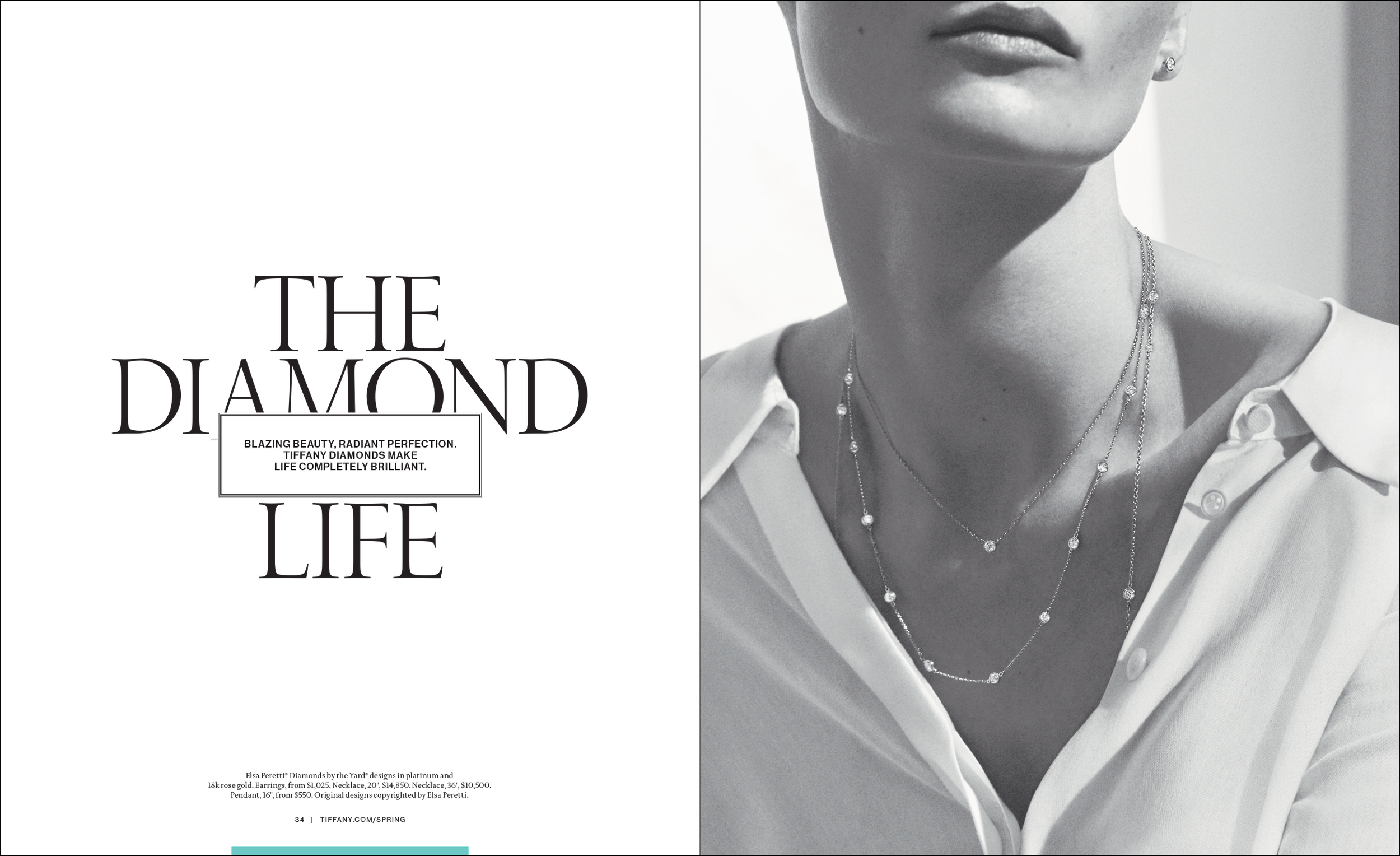 Spring Icons 2015 US 34-35.png