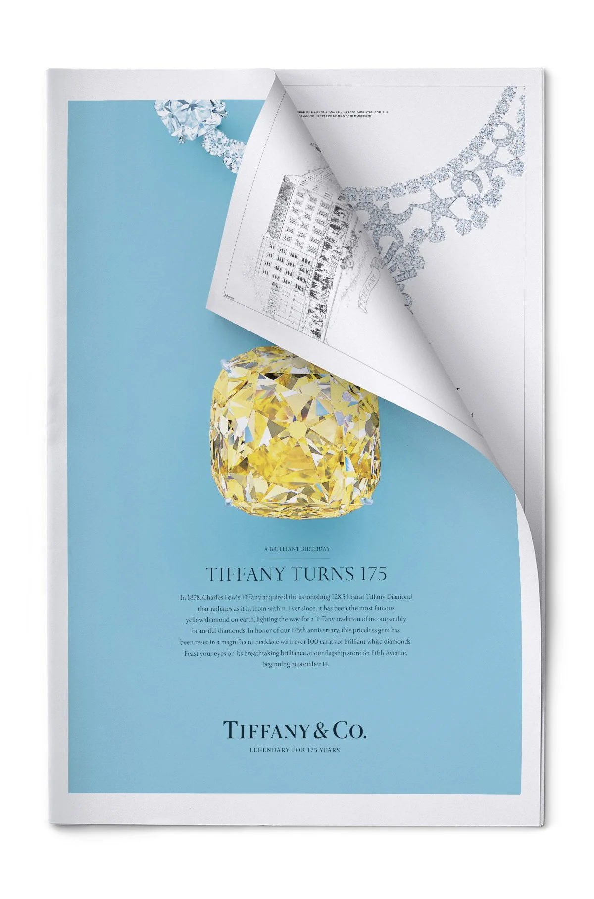 NYT-Cover-Wrap-175-Tiffany-Co.jpeg