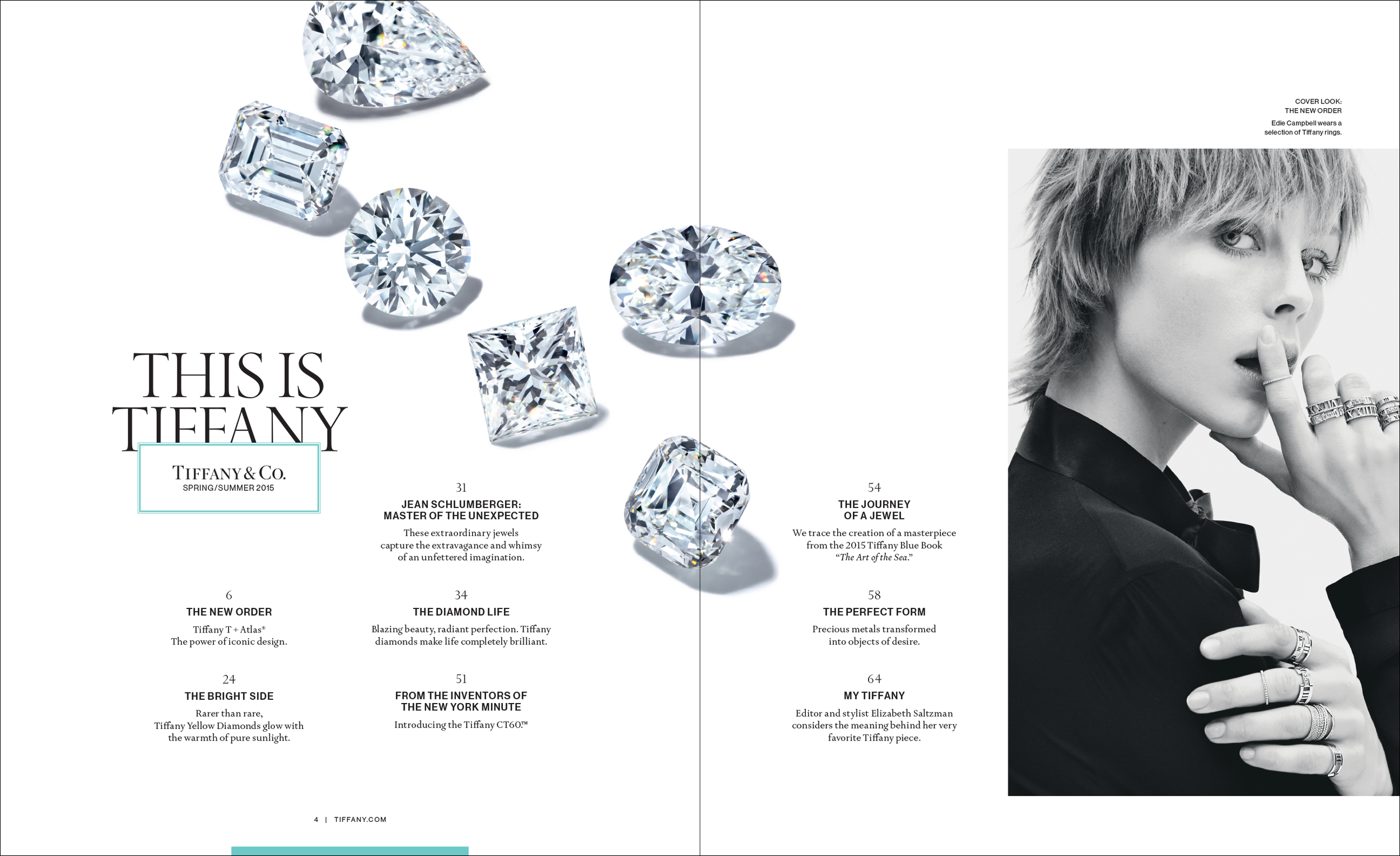 Spring Icons 2015 US 4-5.png