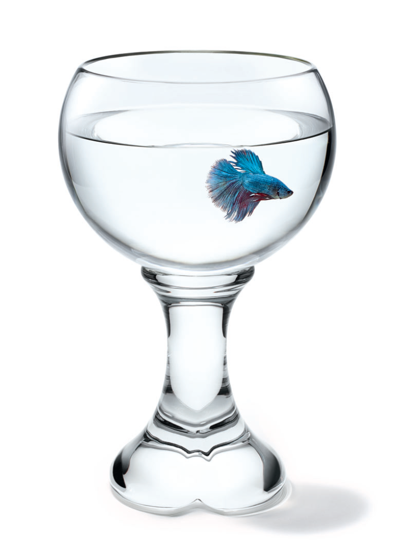 Screen Shot 2023-04-10 at 11.43.08 PM.png