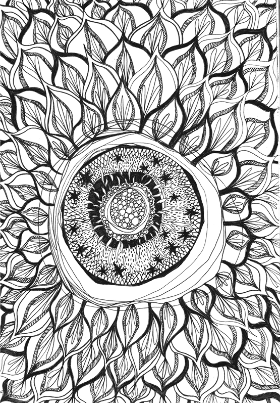 Sunflower - Erin Clark - 555.jpg