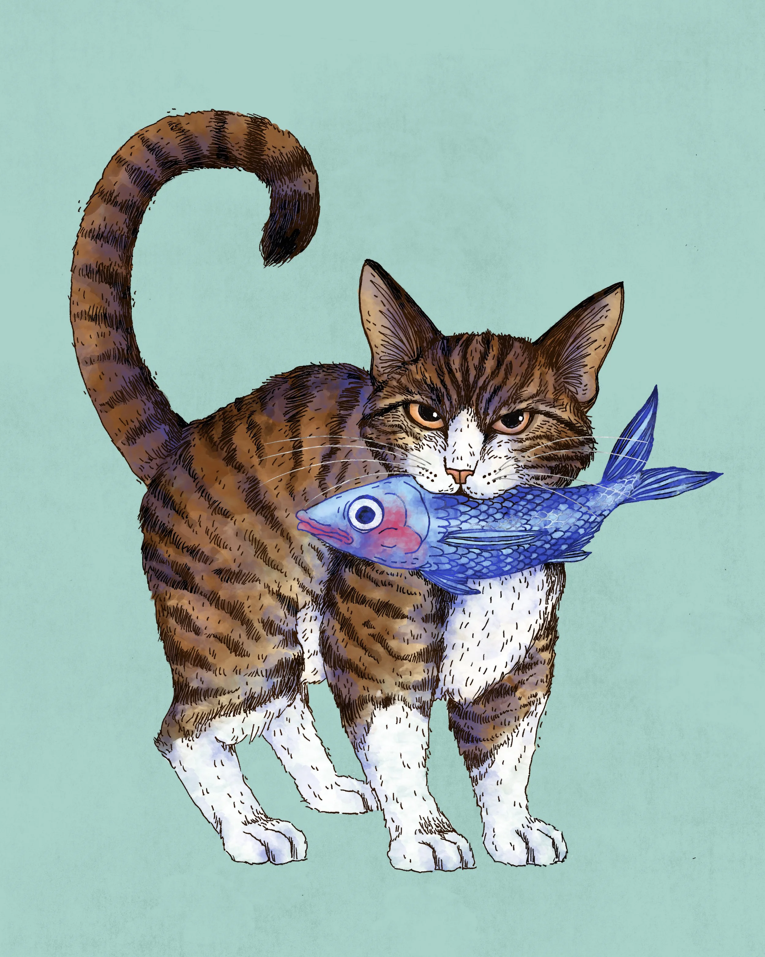 Fishing Cat II