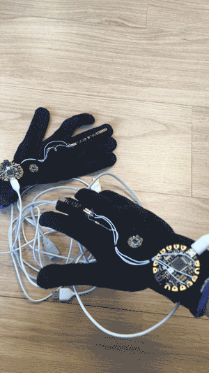 The Glove