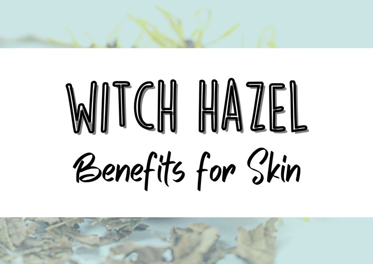 7 Amazing Witch Hazel Uses and Benefits for Your Skin