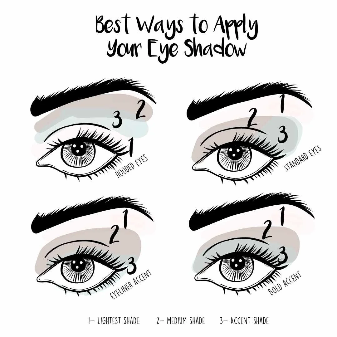 how to apply eye shadow for every shape? - page 36 of... How To Apply Eyeshadow Chart
