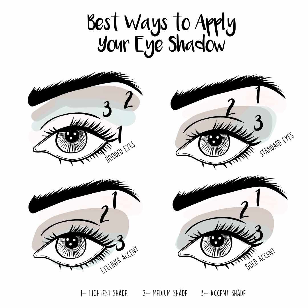 Caterease Eye Shado How To Apply Eyeshadow Diagram Make~up Jungle: Eye Chart Diagram