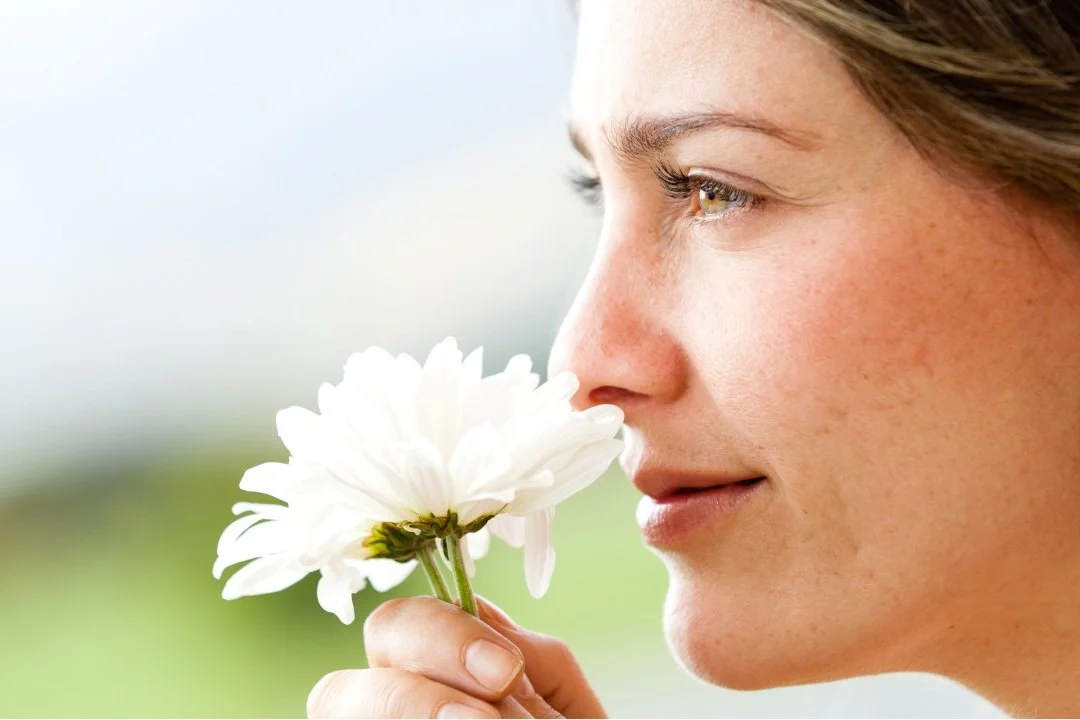 Types of Scents: Secrets to Understanding Scent Profiles Moody