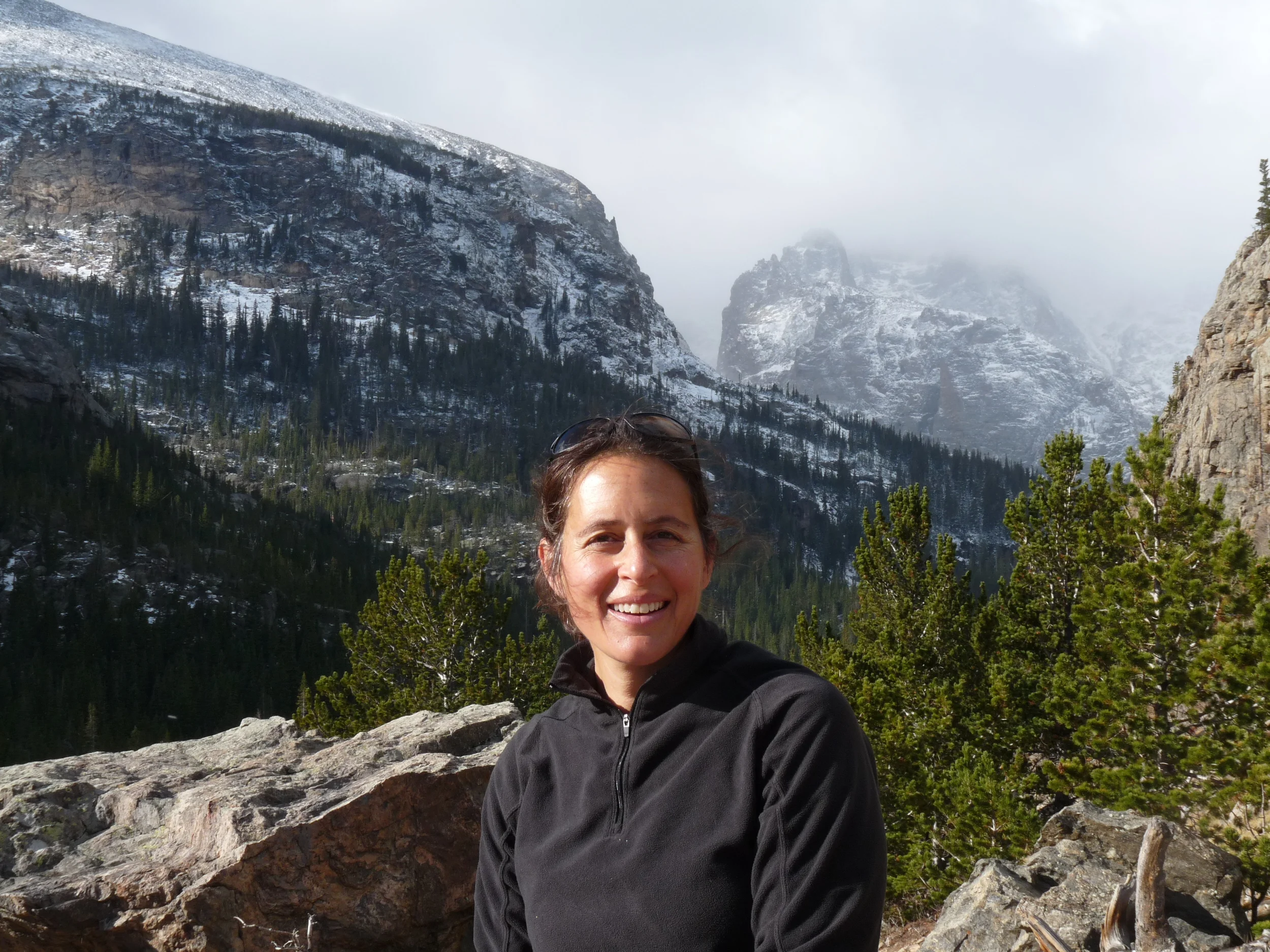 About Jane — Jane Bierman Seibel