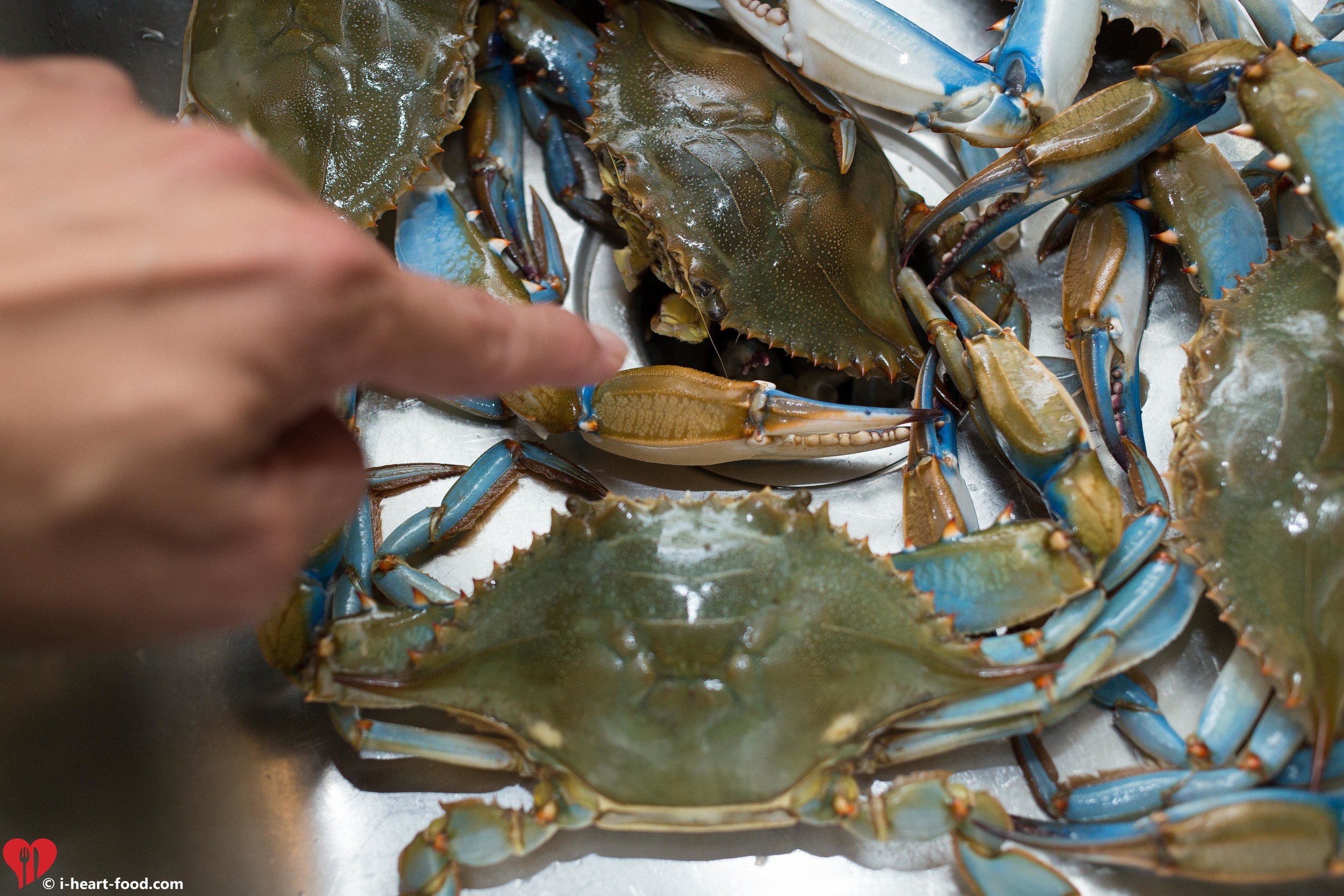 Check out the claws on these monsters!