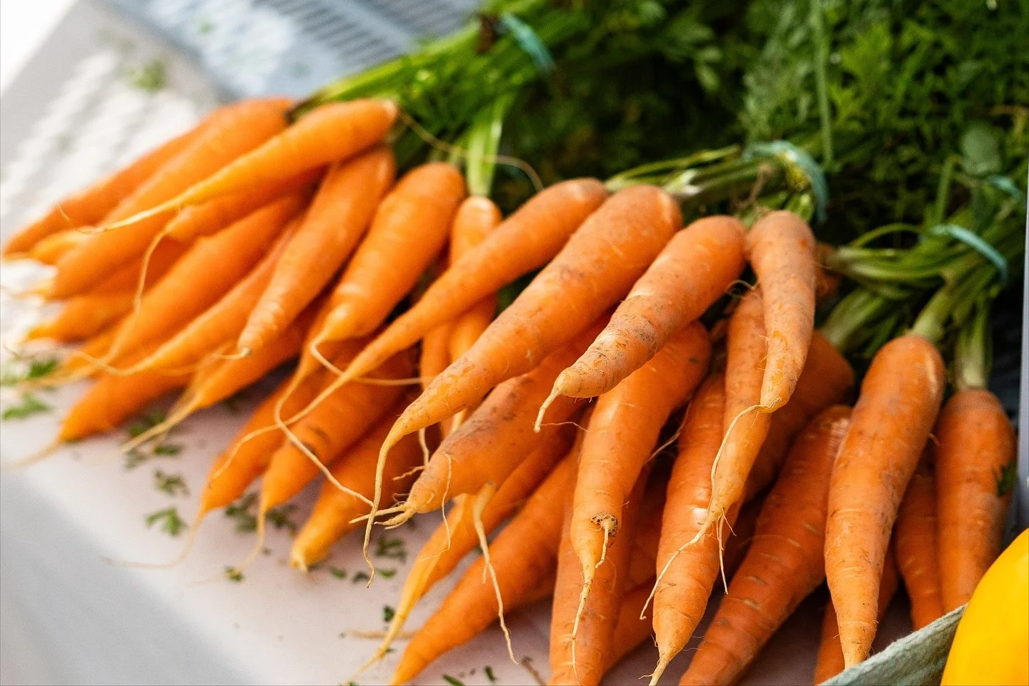 @oldbeachfarmersmarket is happening Saturday (11/15/2025) and we&rsquo;ll have a special Thanksgiving market on Nov 22 too! Swing by and show our vendors some love!

The market is also running a food drive, bring something if you can and drop it off 