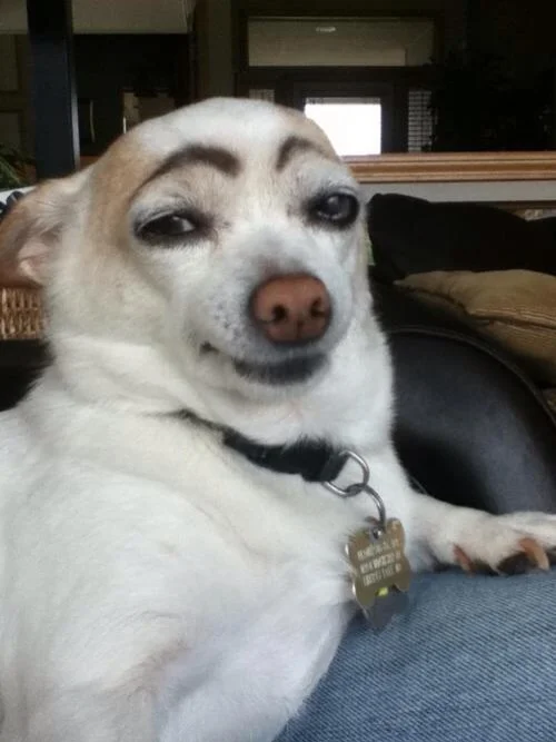 image.jpg