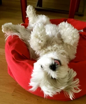 Relax, put your feet up, and let us transport you.
