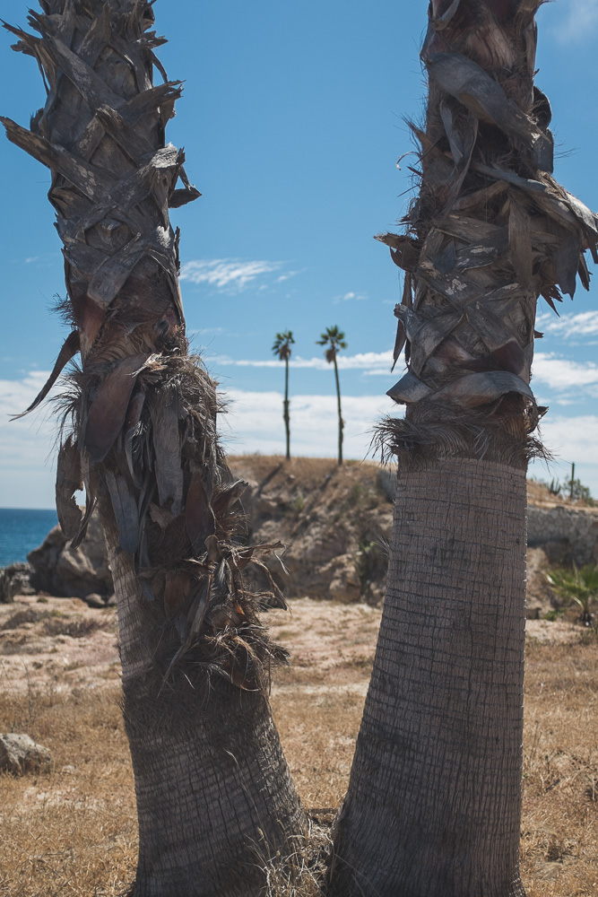 20140221 Chileno lots 0011.jpg