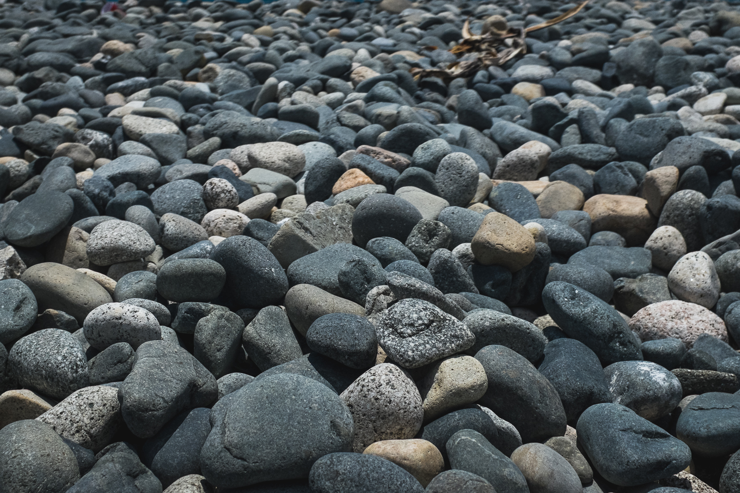 20140718 Punta pescadero 0005.jpg