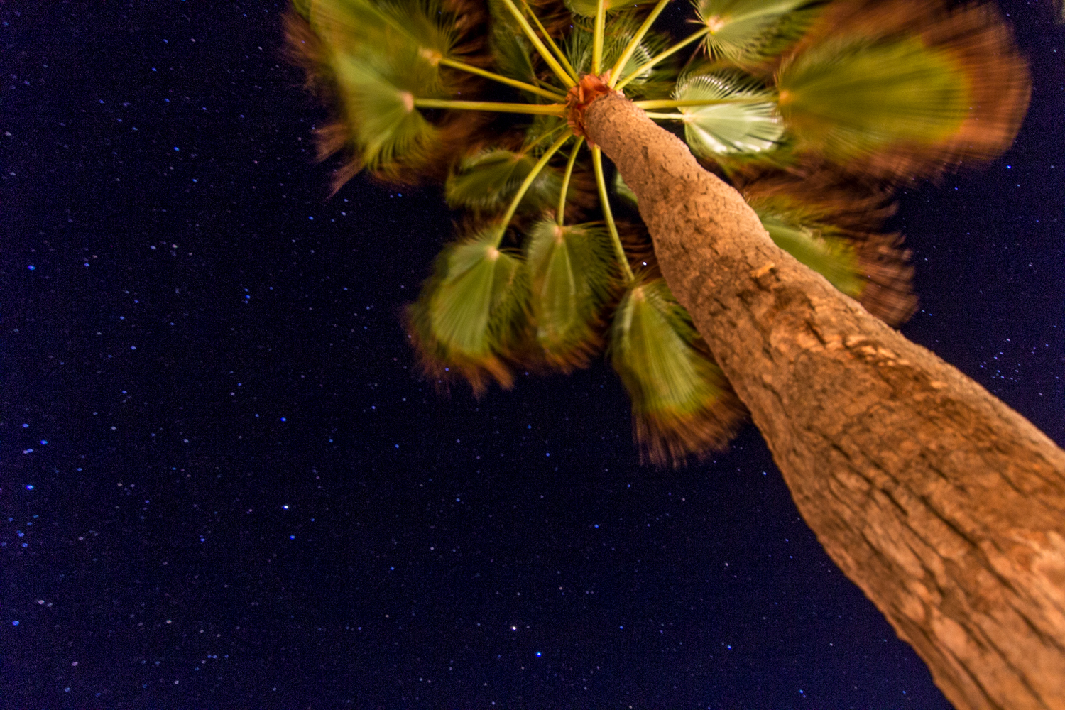 20140718 Punta pescadero 0041.jpg