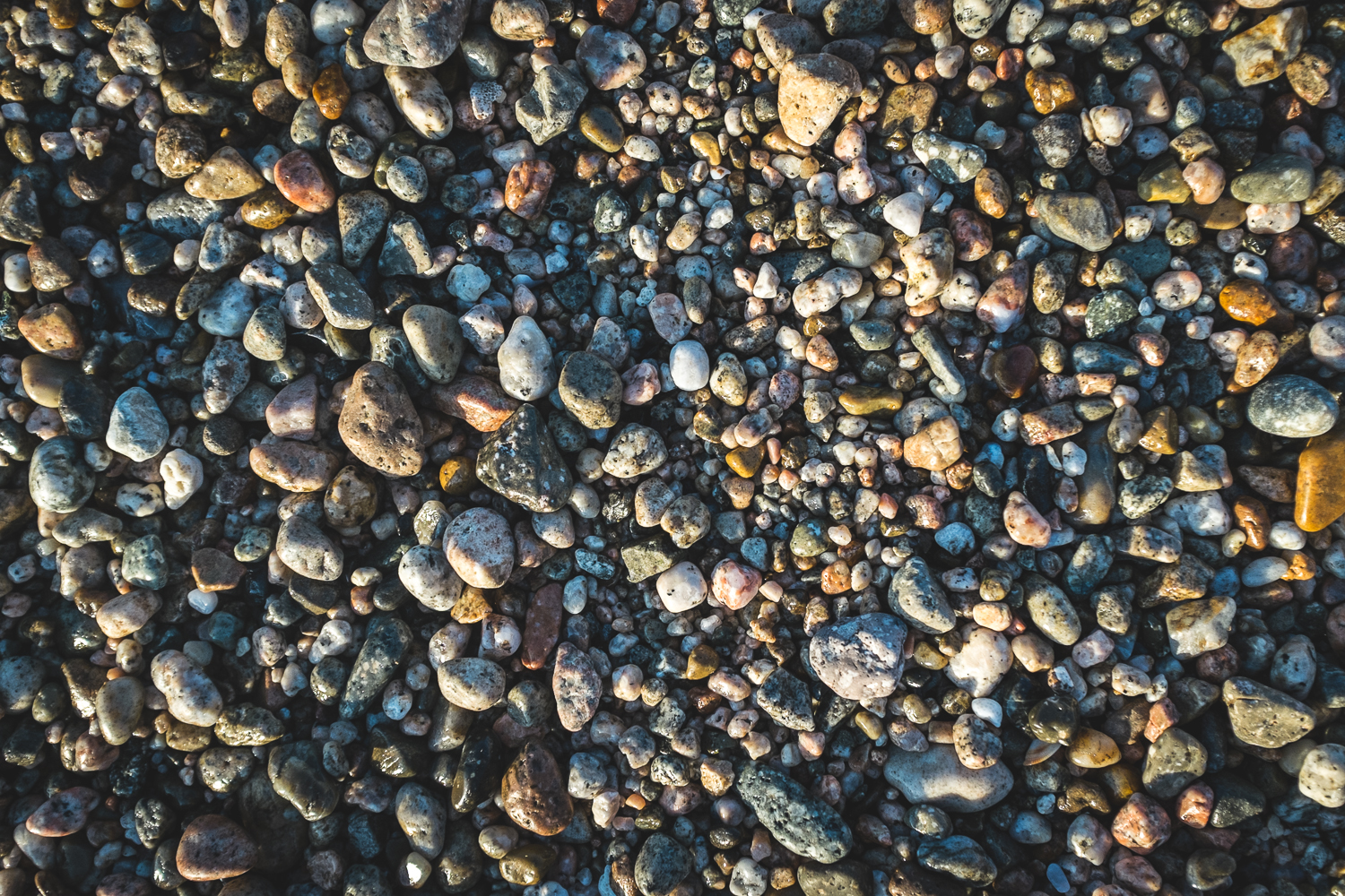 20140719 Punta pescadero 0072.jpg