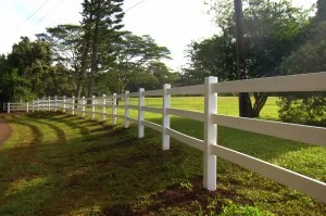 hawaii-wedding.jpg