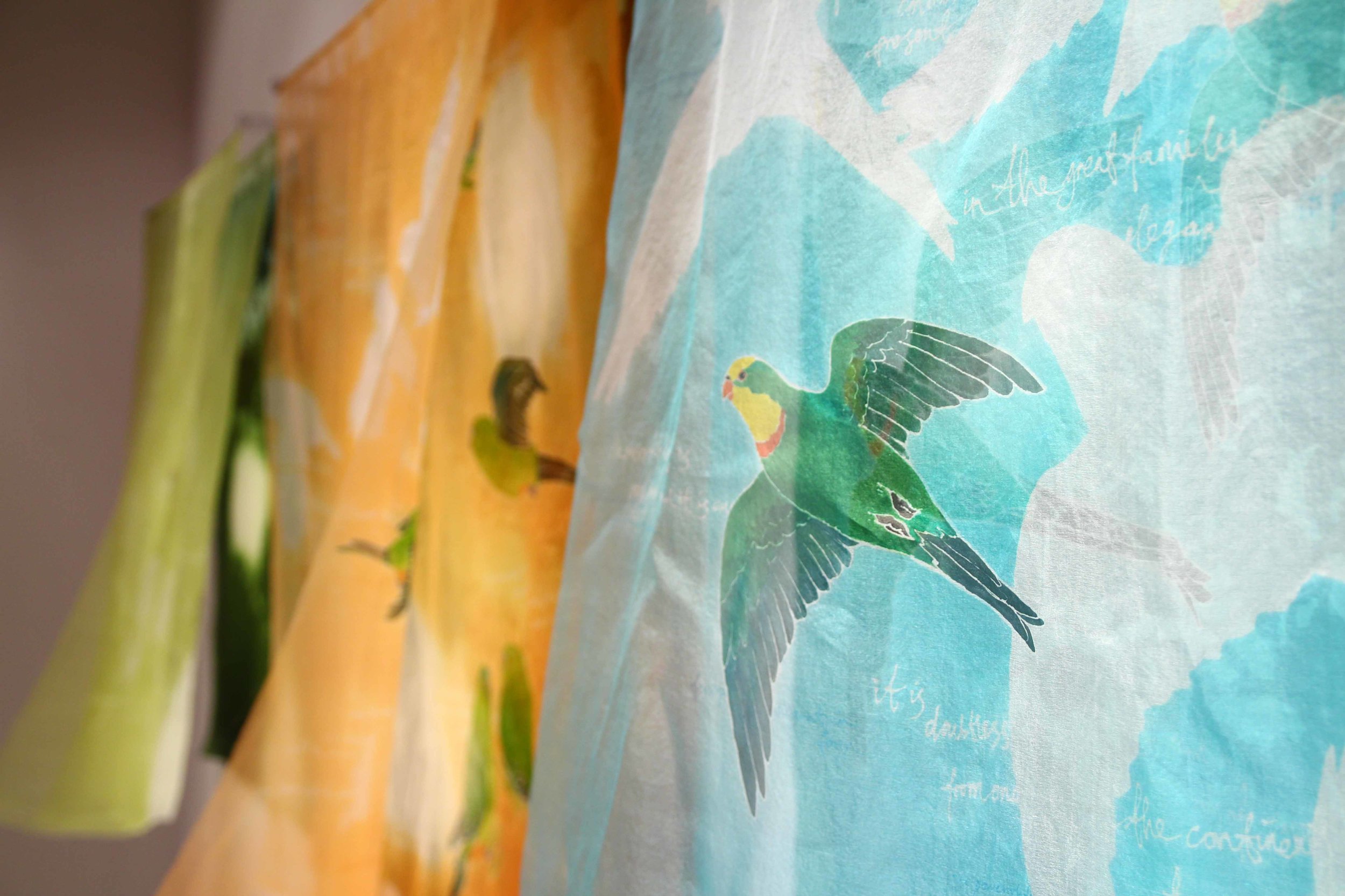 Degradation, 2014. Series Depicting Superb Parrots, Mallee Emu Wrens & Orange-bellied Parrots in amongst their respective disappearing habitats.