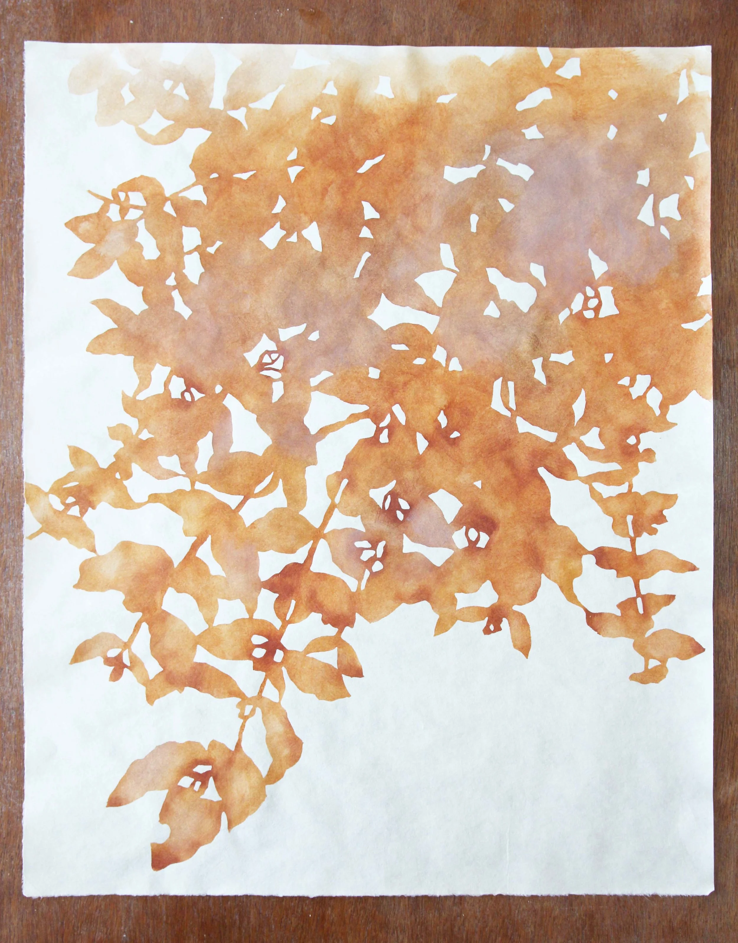"Foliage: Cinerea" 2018. 38 x 50cm katazome on kozo using only local earth colours.