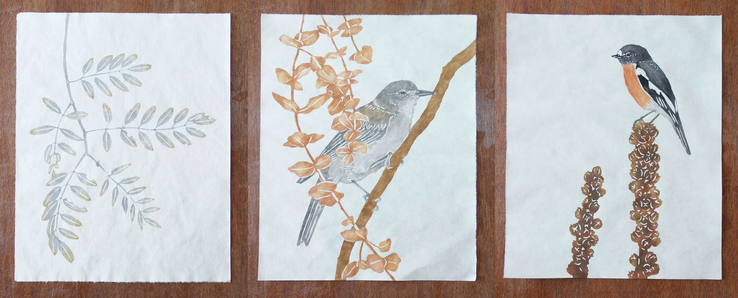 "Tidbinbilla Series" 2018. Birds and Plants encountered during an Artist in Residence program 2017. All pigments are local colours. Katazome on kozo.