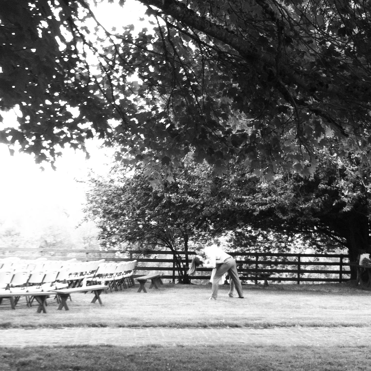 IMG_1385.JPG