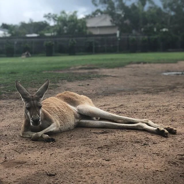 #sundaymood