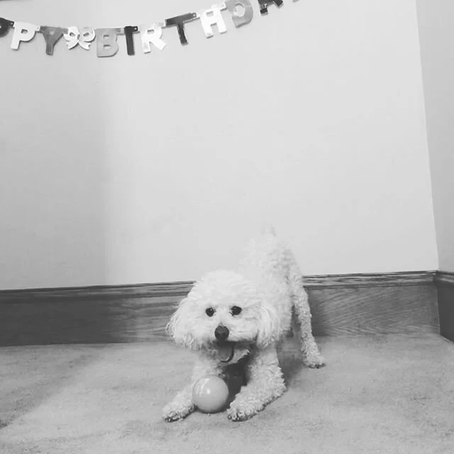 You&rsquo;ll only have a quarantine-birthday once, they said