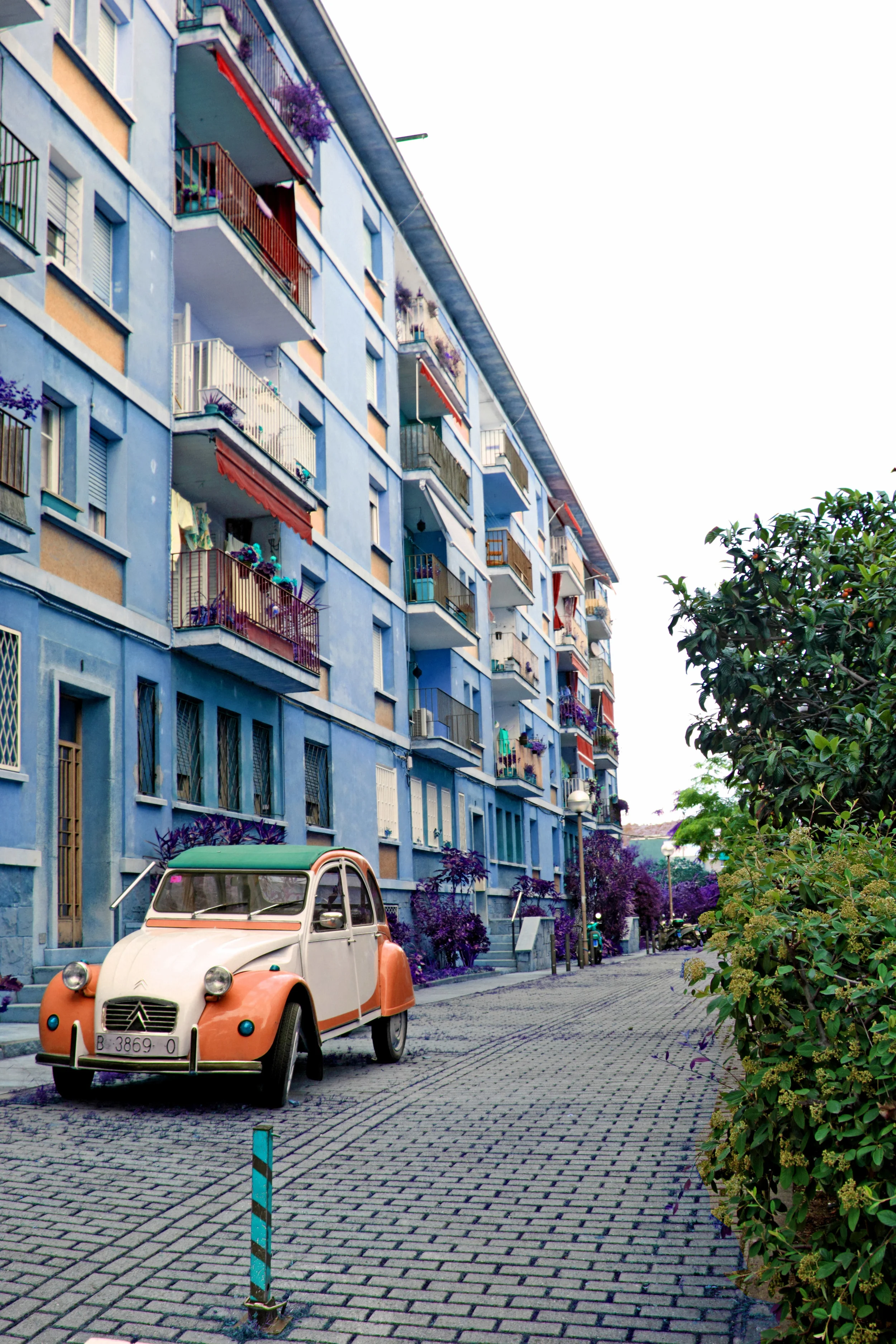 BARC_BUILDING_CAR0_CC.jpg