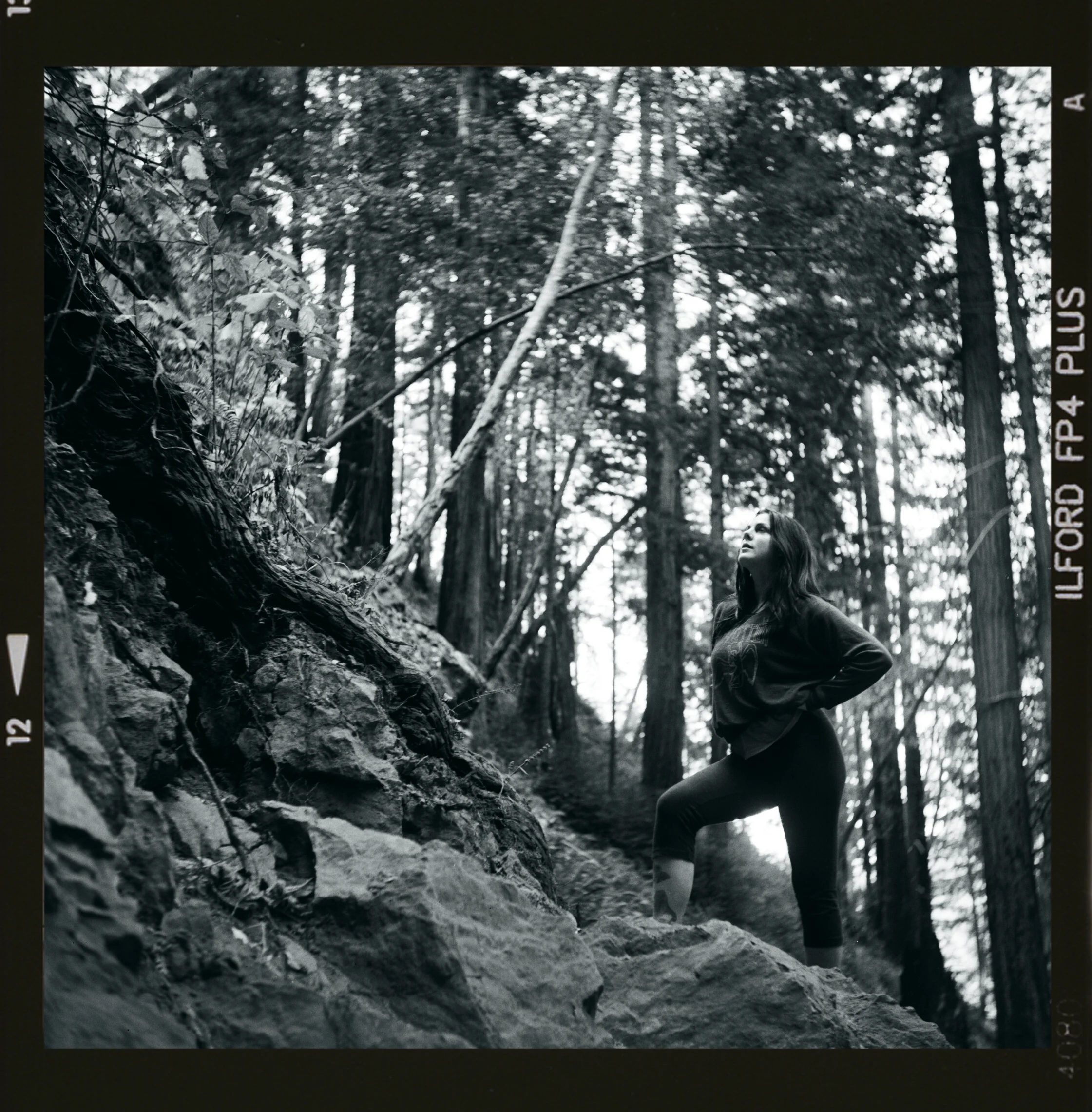 NOV13_B&W_HEATHER IN WOODS_W BORDER.jpg