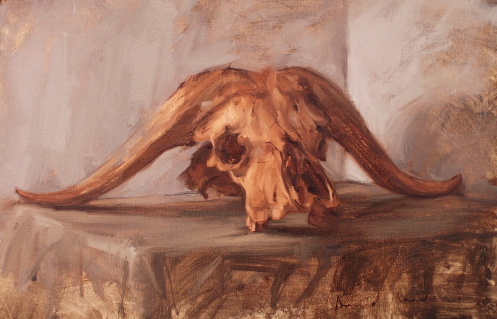 Cape Buffalo Skull