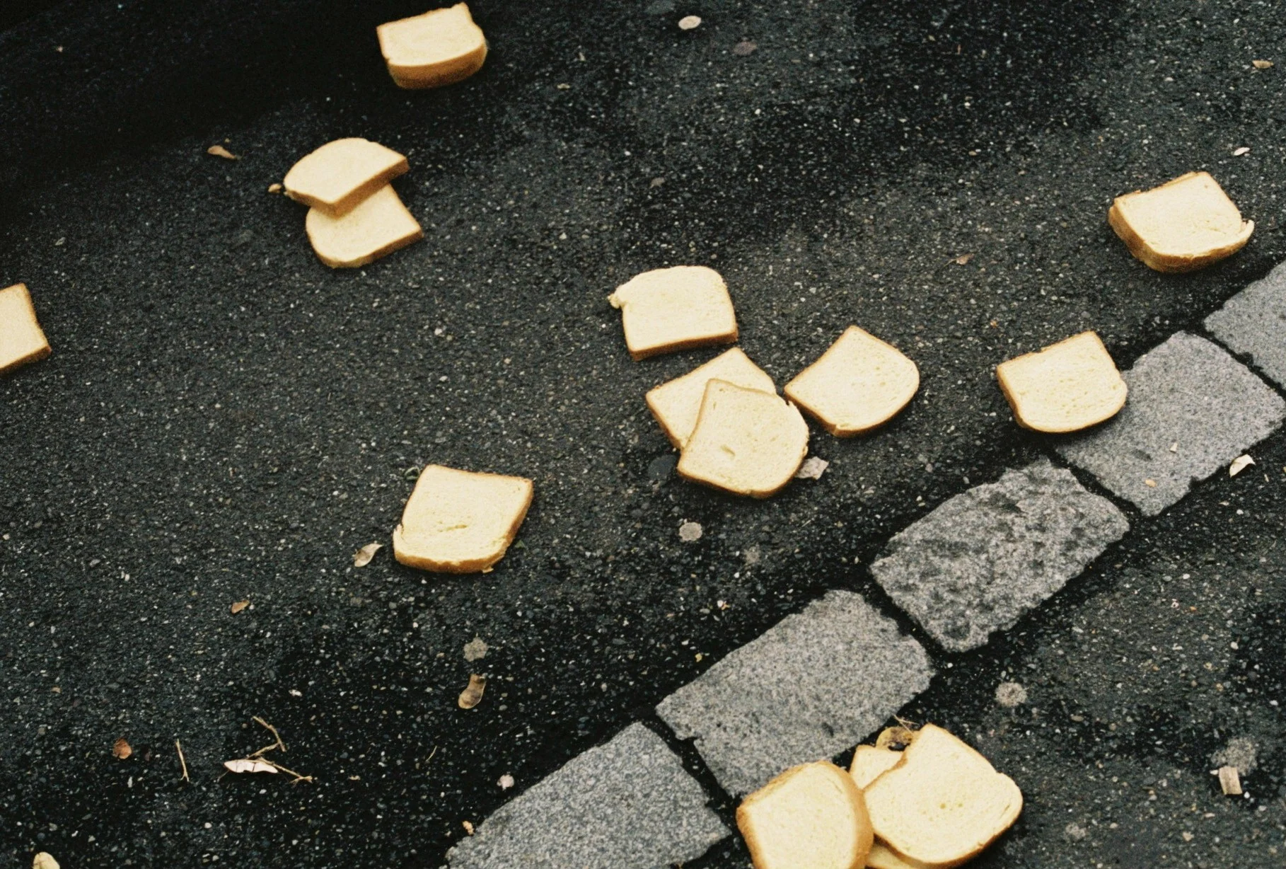 Untitled_7