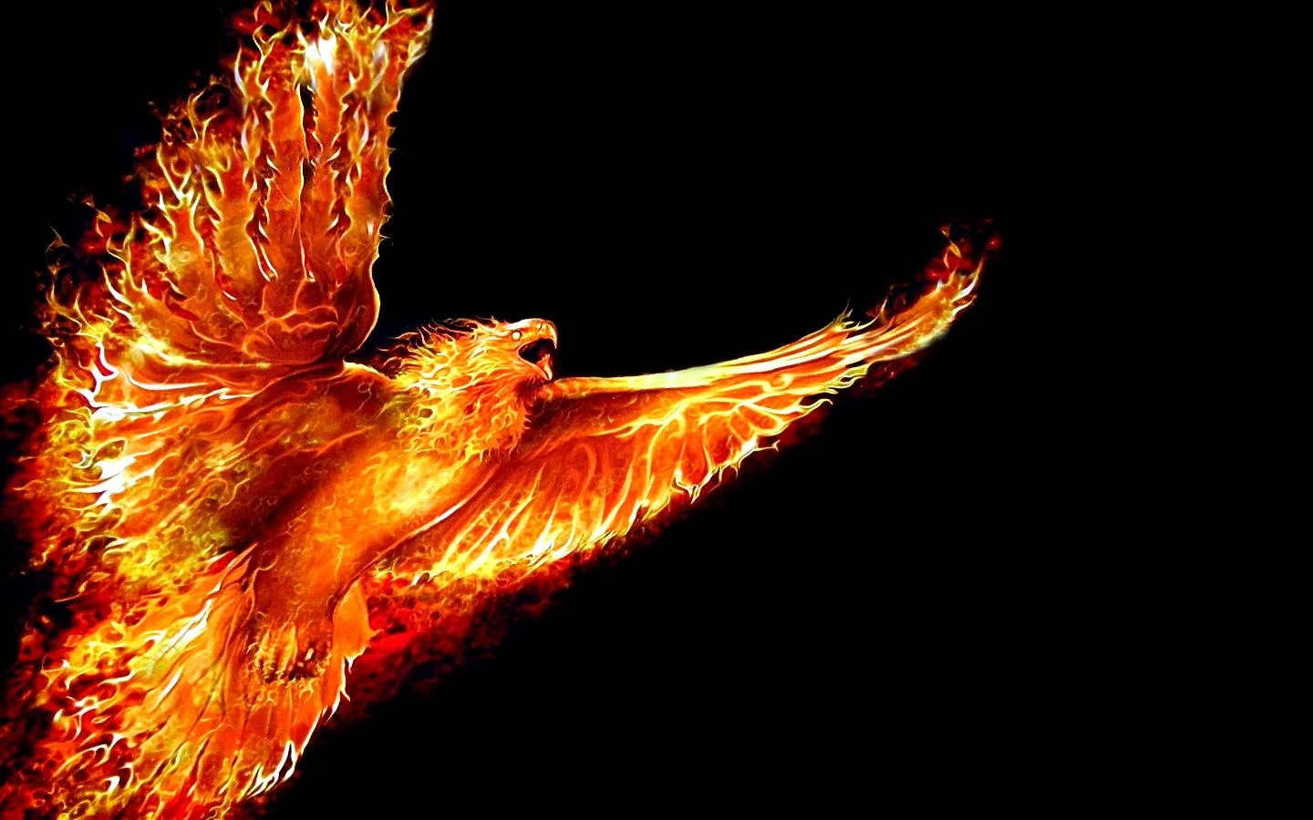 How groovy is this Phoenix? If I ever put out an album...