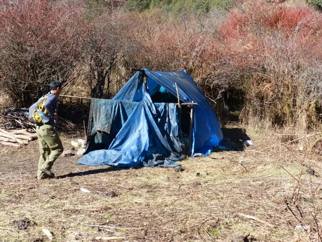 Yak herder tent.jpg