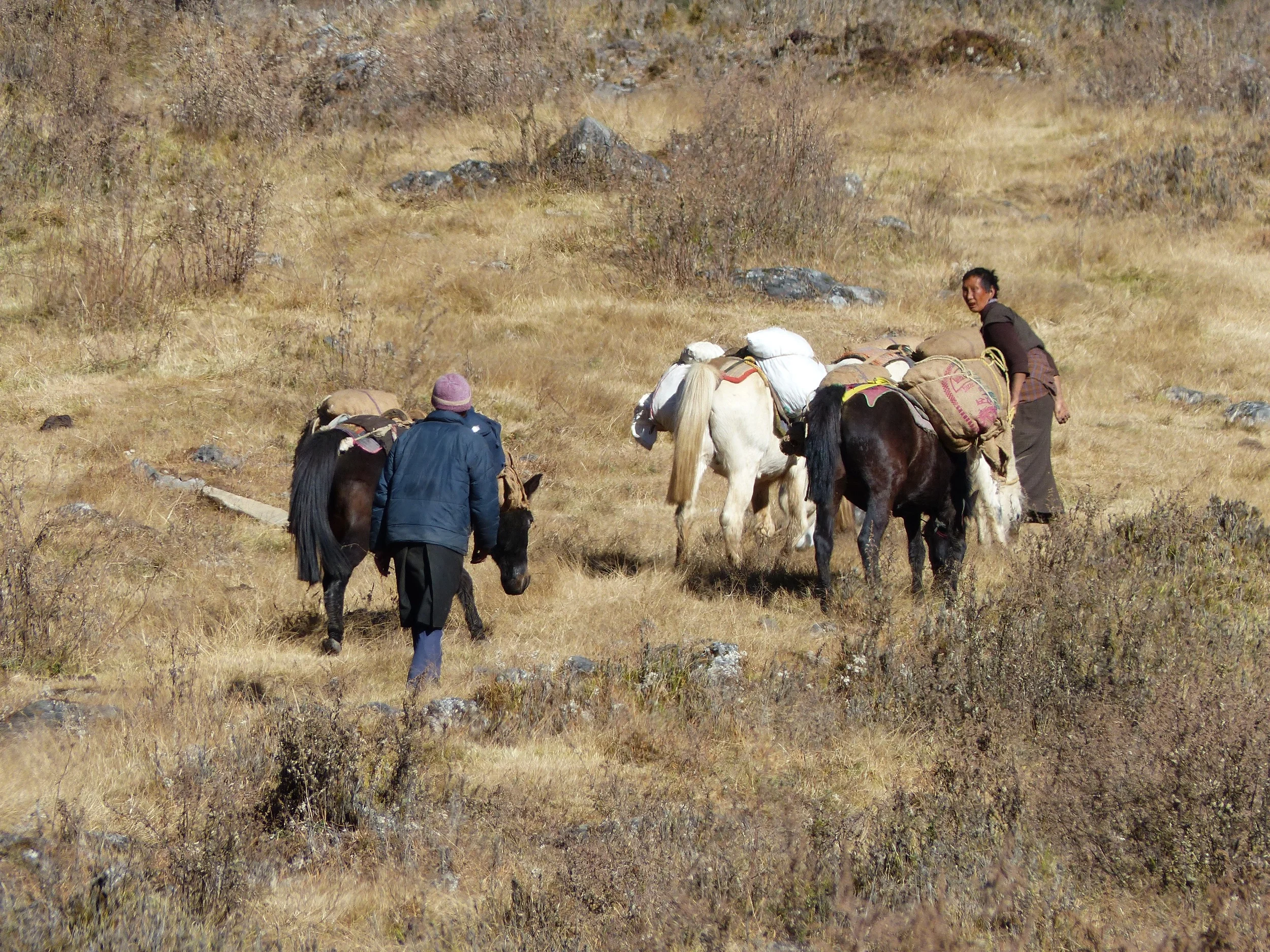 Mother and son hauling potato seeds over the hill down into the next valley