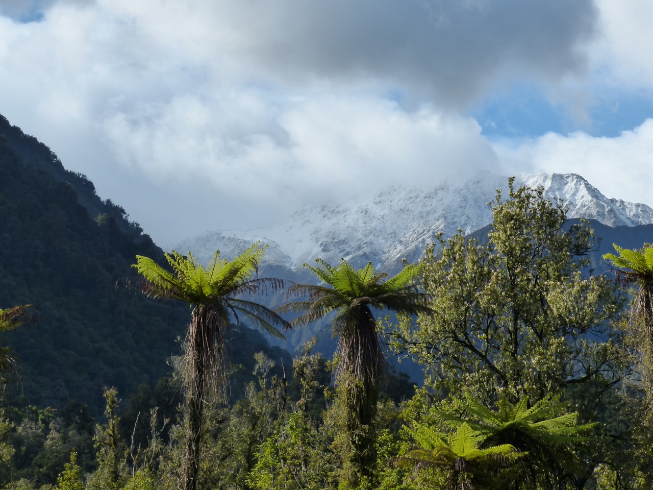 Scene outside my hotel room this morning at Franz Josef