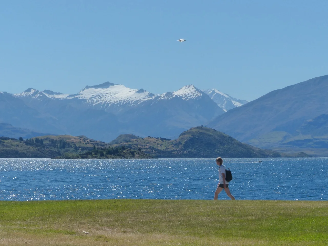 Destination Wanaka!