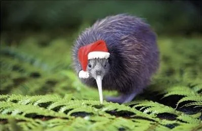They don't have snow for Christmas, but the Kiwi's make do on spirit...