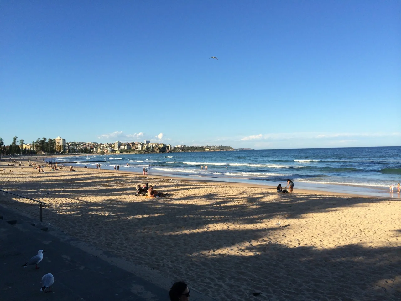 Manly Beach at 6 PM