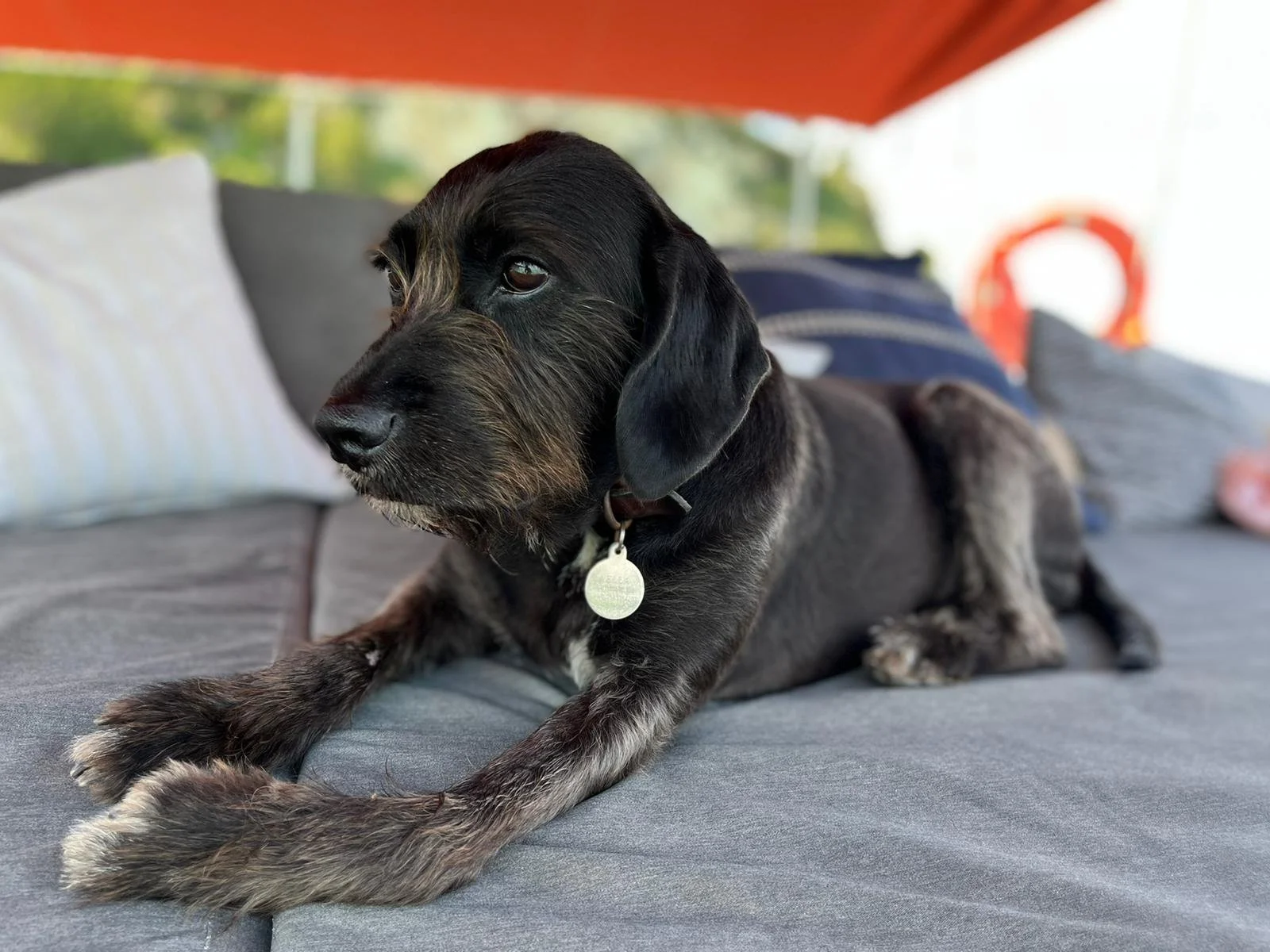 9c6928f7-c81b-42f8-8ffb-371a7cbb0f99 (1).JPG