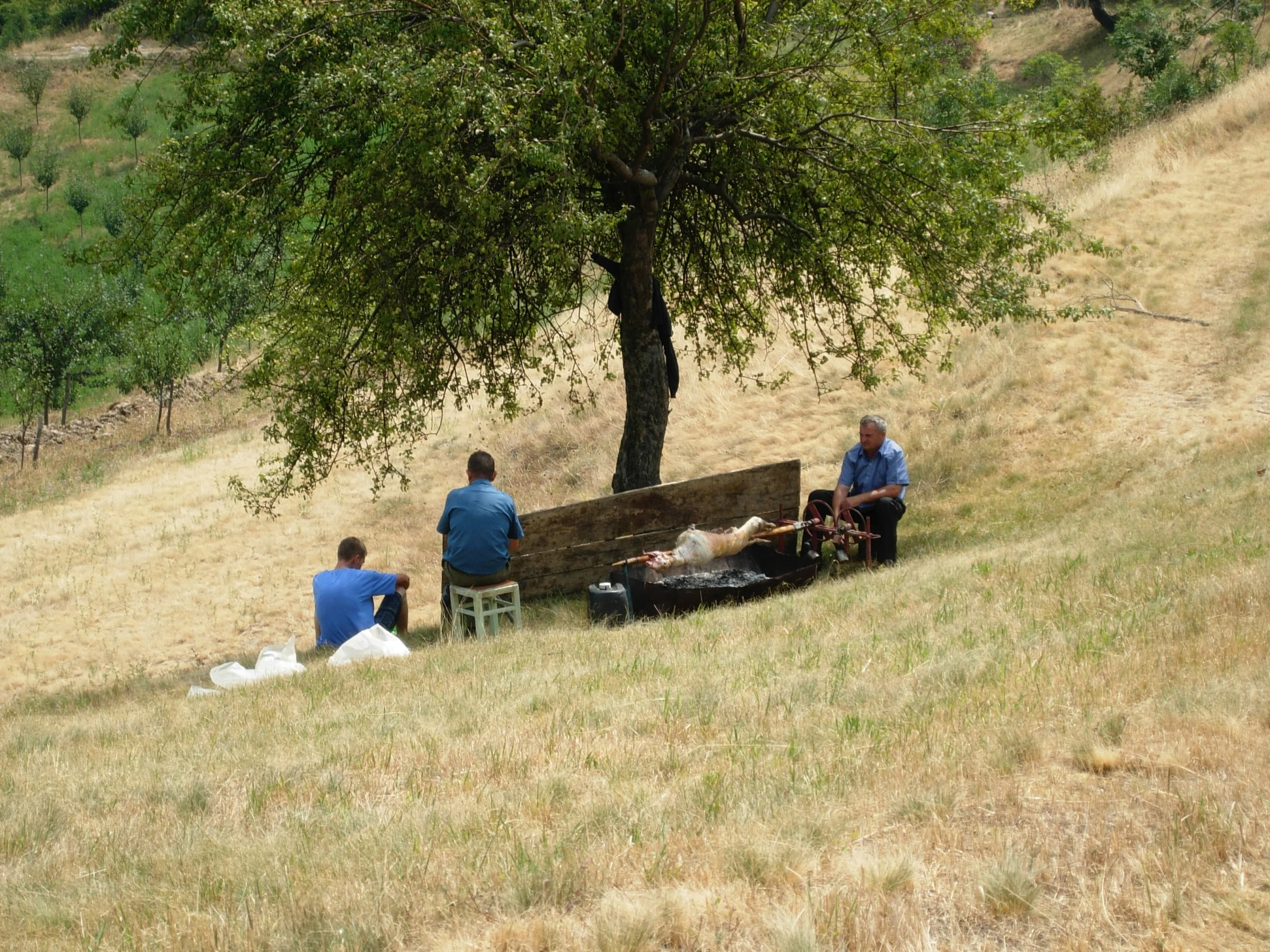 DSCN1773.jpg