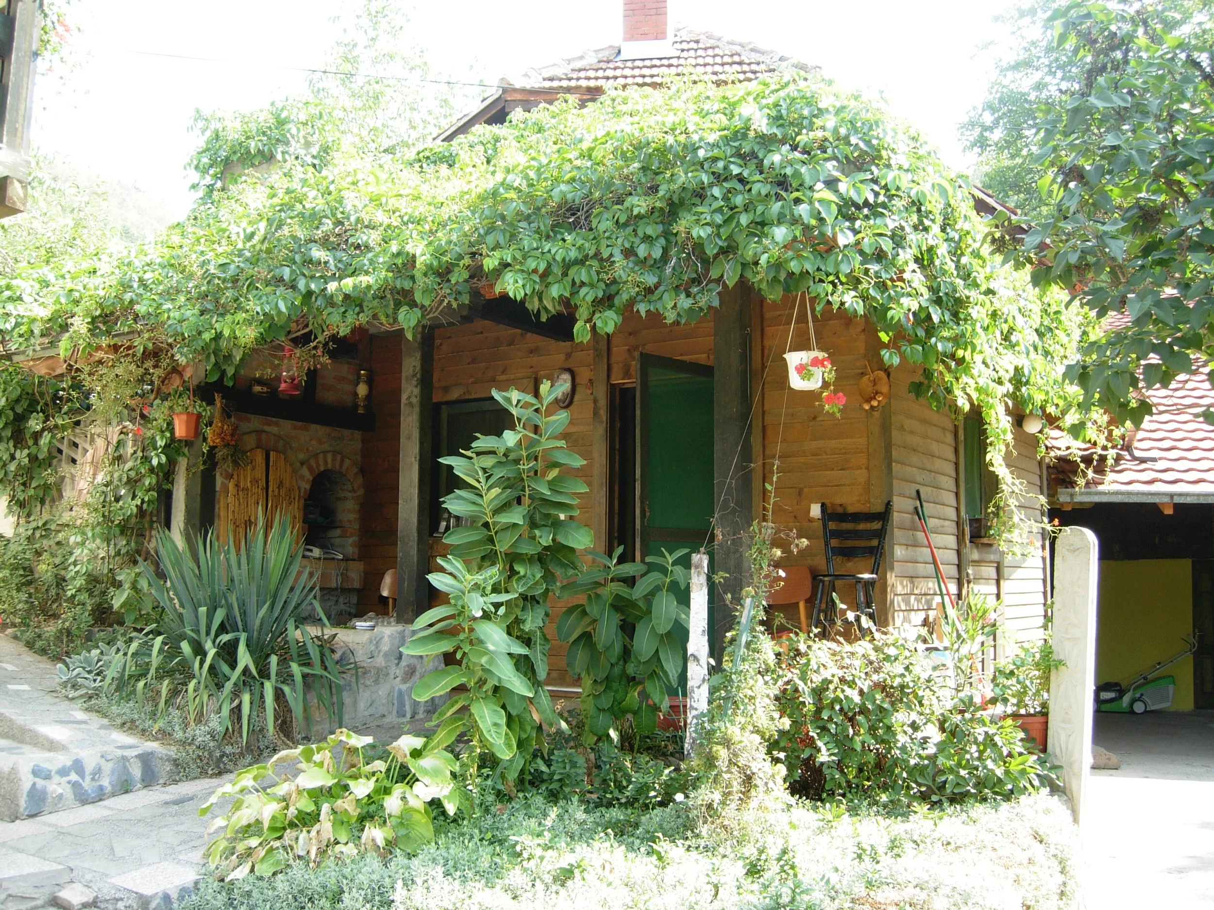 DSCN1767.jpg