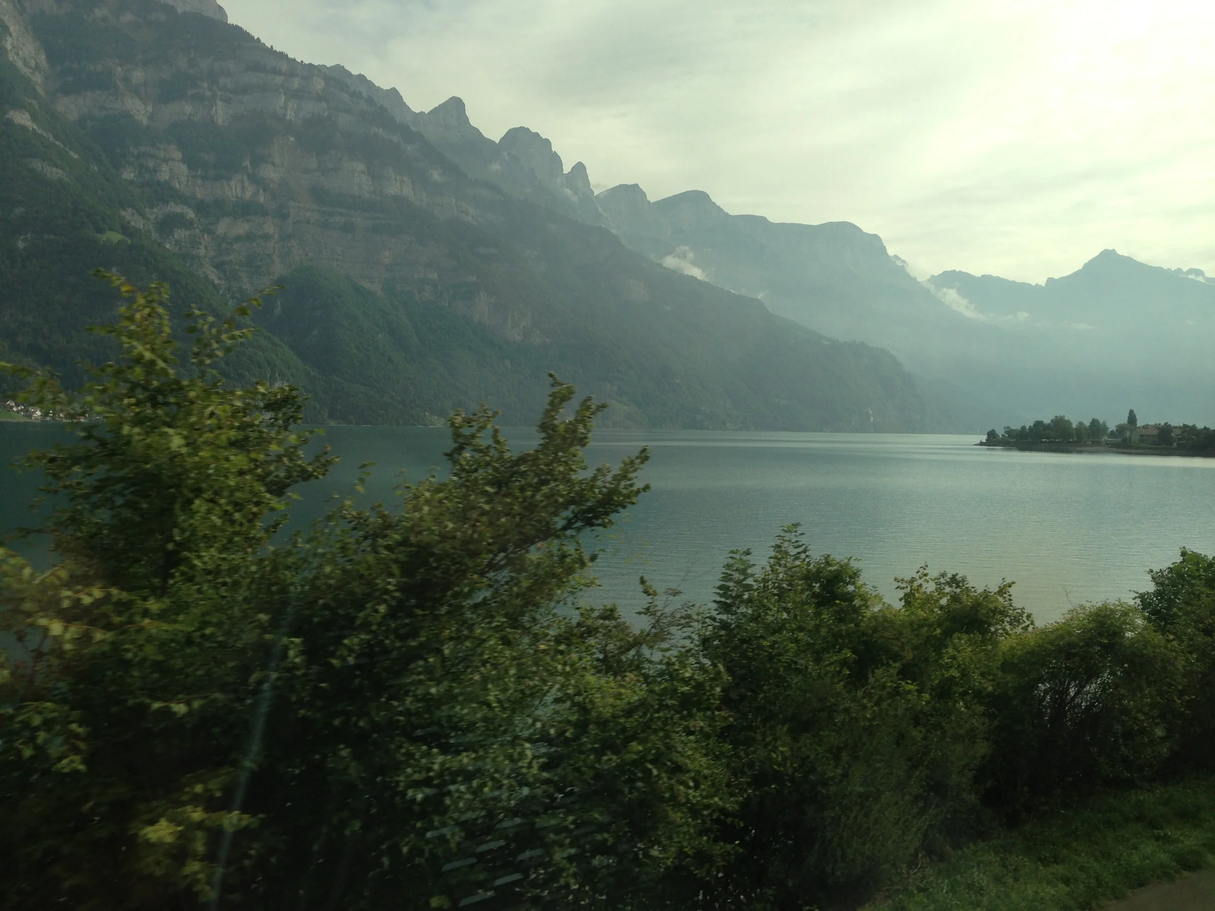 IMG_1620.jpg