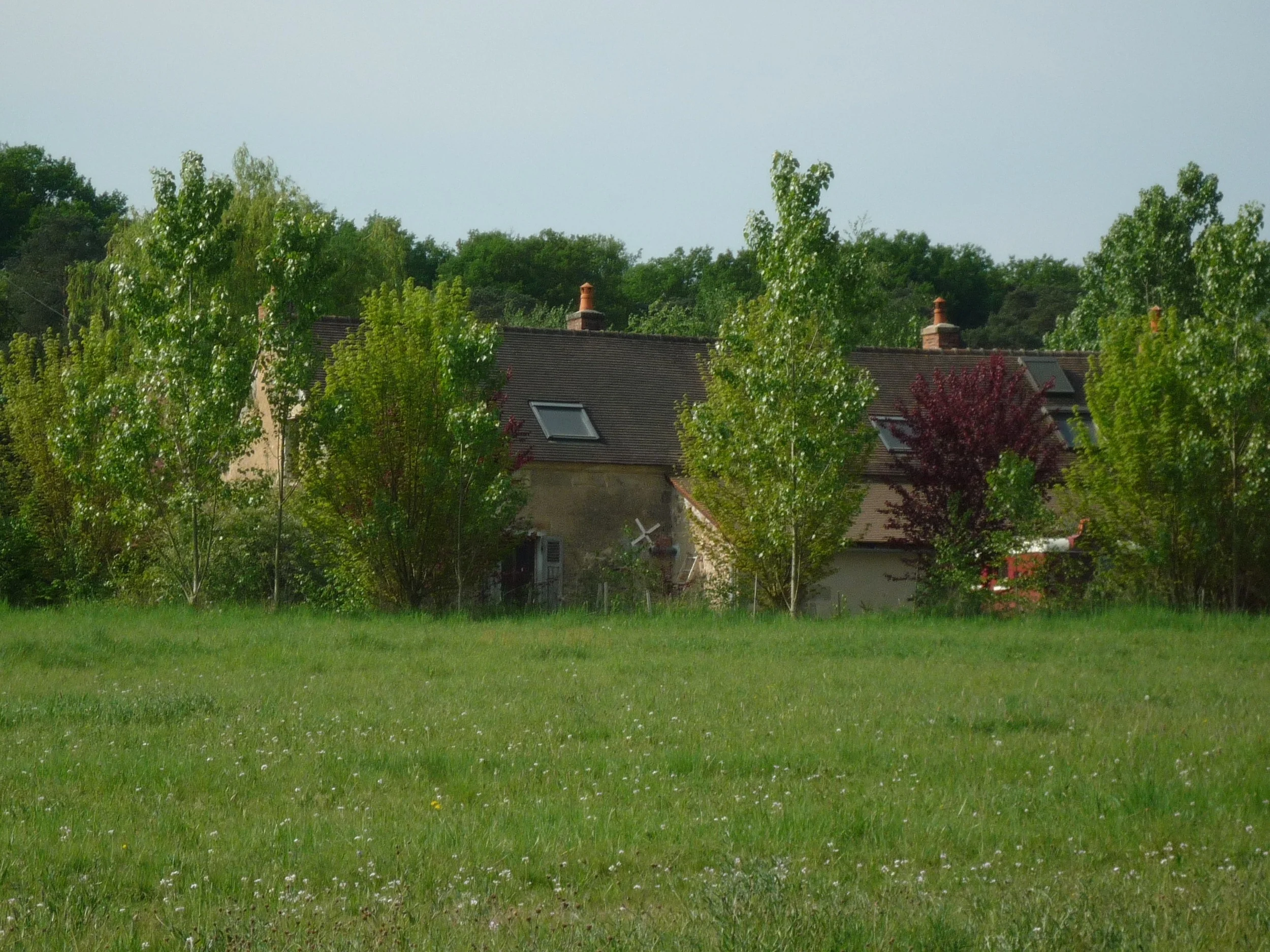 P1030281.jpg