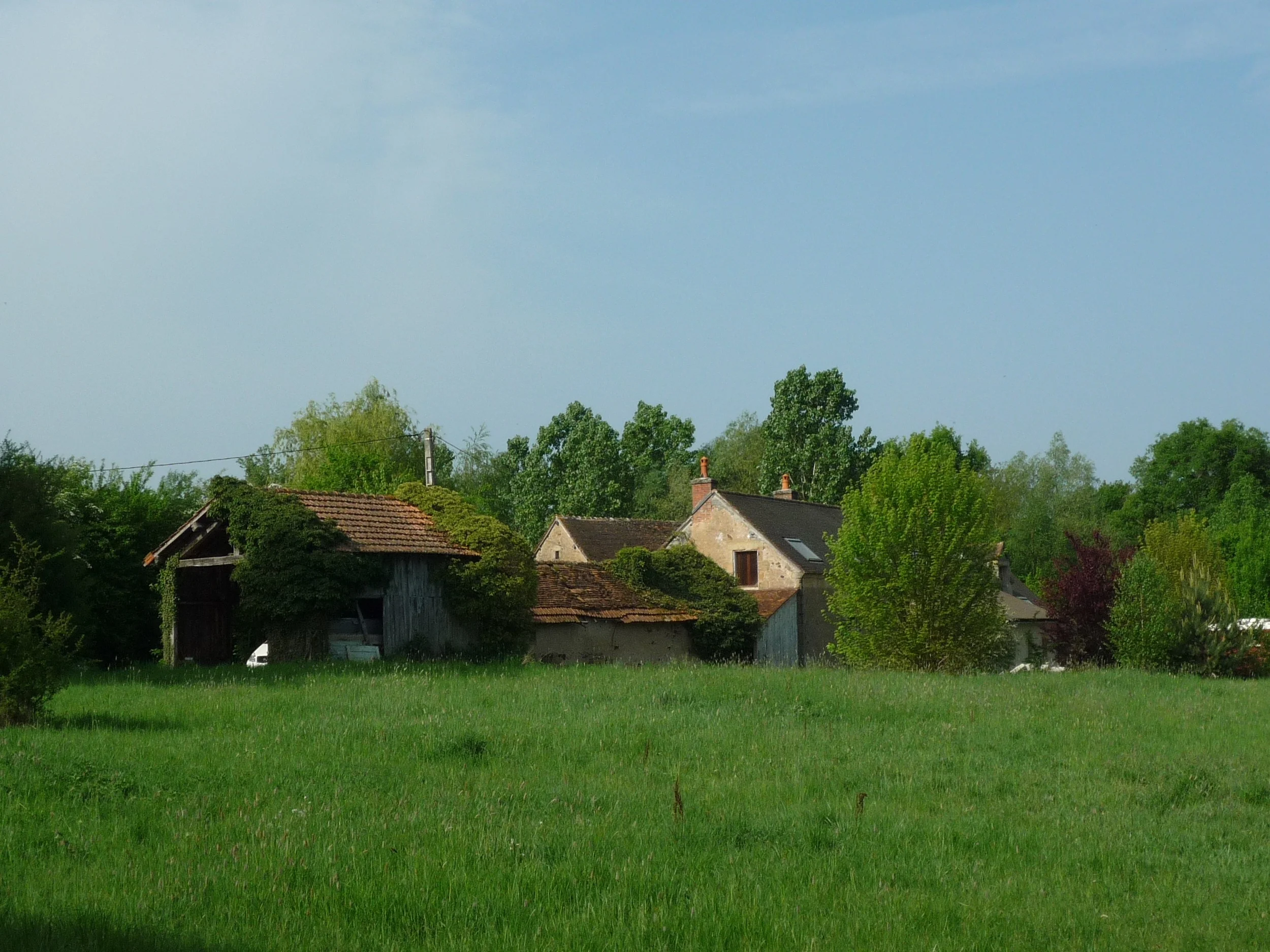 P1030284.jpg