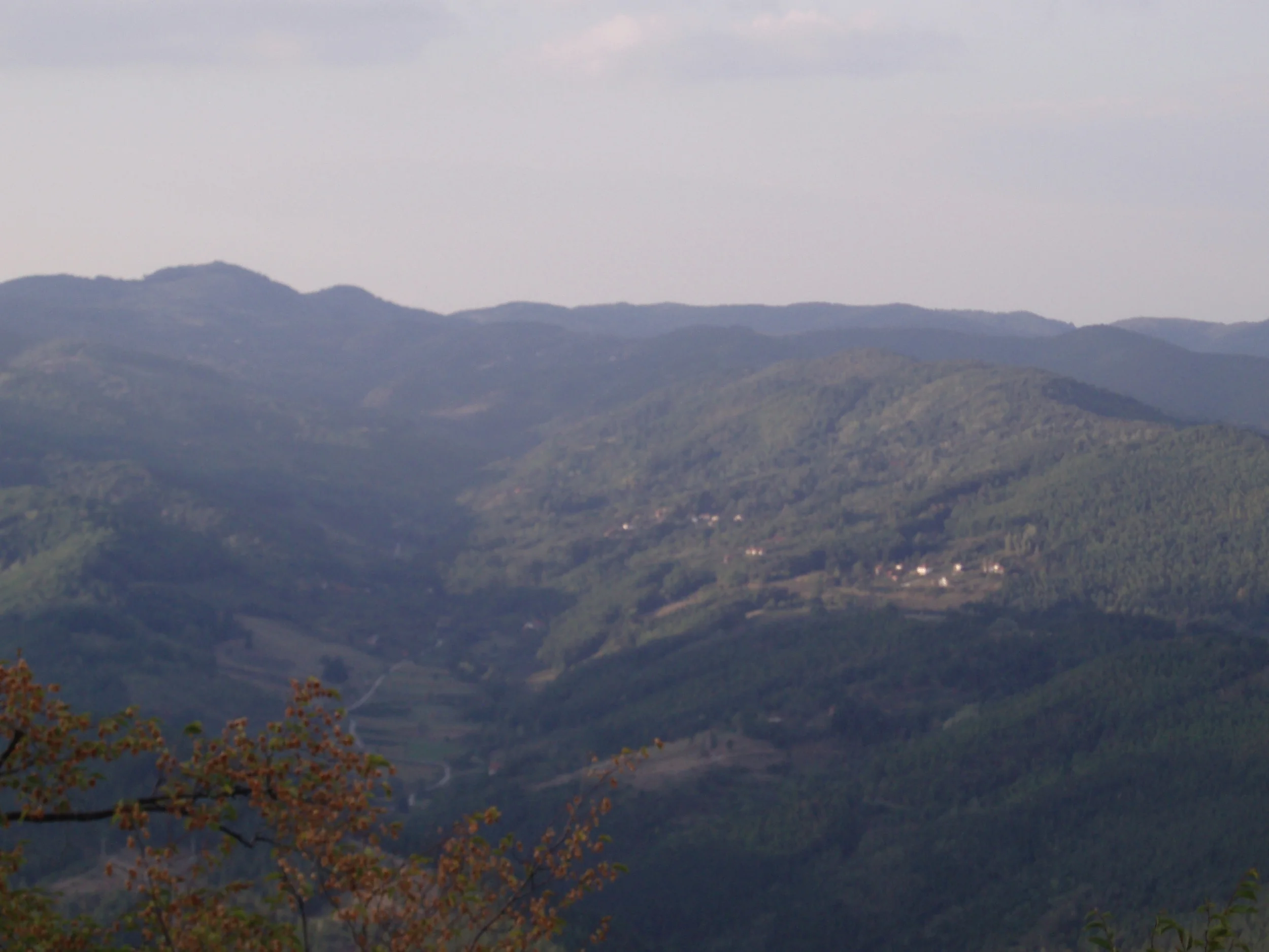 P9150156.jpg