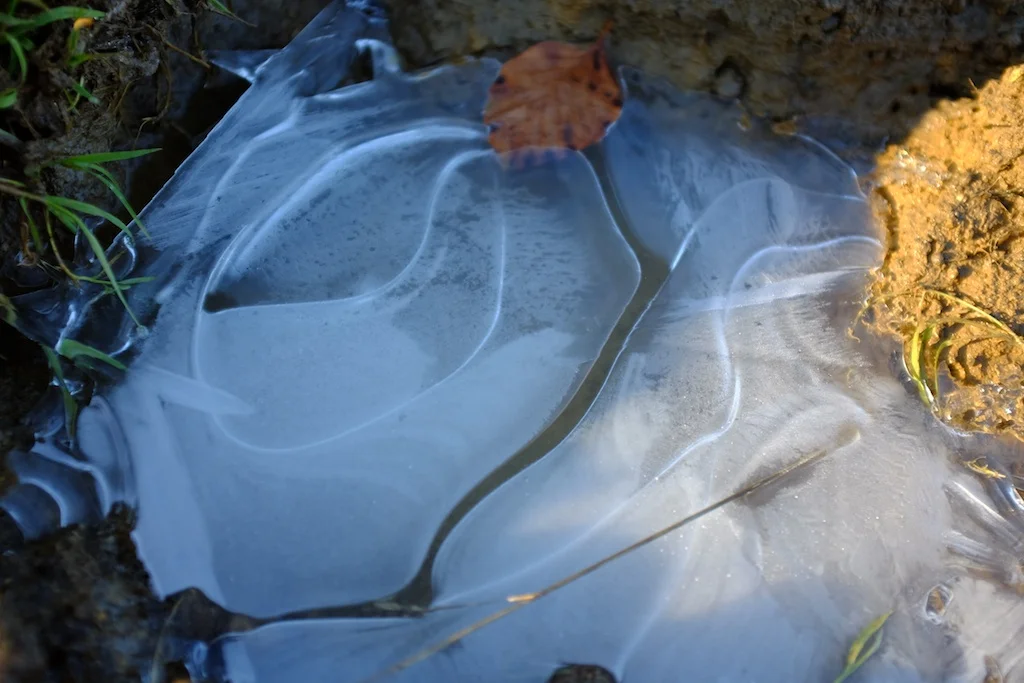DSCF1360.jpg