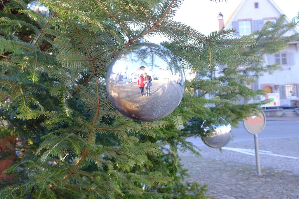 DSCF1372.jpg